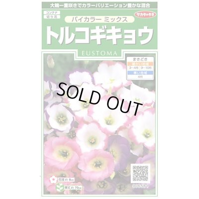 画像1: 花の種 トルコギキョウ バイカラーミックス 約45粒 (株)サカタのタネ 実咲250(026260)