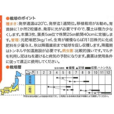 画像2: [イタリア野菜]　ヴェネチア　80粒　　 トキタ種苗（株）