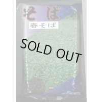 春そば　1kg　カネコ種苗（株）