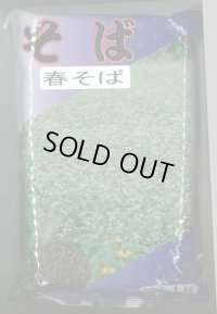 春そば　1kg　カネコ種苗（株）