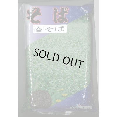 画像1: 春そば　1kg　カネコ種苗（株）