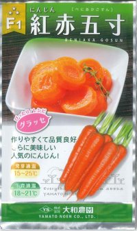 送料無料　[人参]　黒田系五寸[人参]　Ｆ1紅赤五寸　3ml　（株）大和農園
