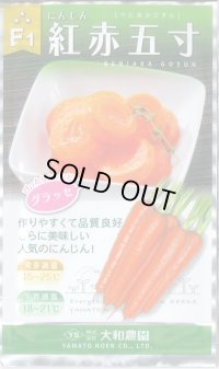 送料無料　[人参]　黒田系五寸[人参]　Ｆ1紅赤五寸　3ml　大和農園