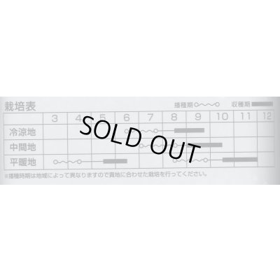 画像2: 春そば　1kg　カネコ種苗（株）