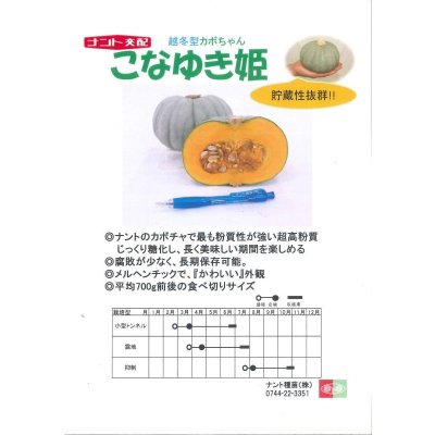 画像2: 送料無料　[かぼちゃ]　こなゆきひめ　6粒　ナント種苗(株)
