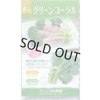 送料無料　[ブロッコリー]　グリーンコーラル　2000粒　大和農園