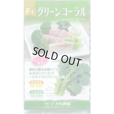 画像1: 送料無料　[ブロッコリー]　グリーンコーラル　2000粒　大和農園