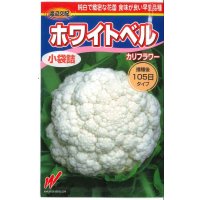 送料無料　[カリフラワー]　ホワイトベル60粒　渡辺農事（株）