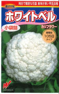 送料無料　[カリフラワー]　ホワイトベル60粒　渡辺農事（株）