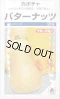 送料無料　[かぼちゃ]　バターナッツ　100粒　タキイ種苗(株)