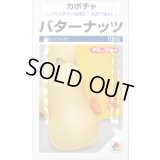 送料無料　[かぼちゃ]　バターナッツ　100粒　タキイ種苗(株)