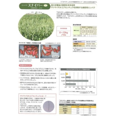 画像4: [緑肥]　エンバク　スナイパー　1kg　雪印種苗(株)