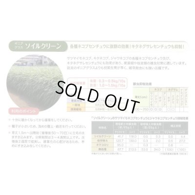 画像5: [緑肥]　ソイルクリーン　1kg　雪印種苗(株)