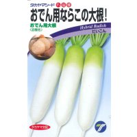 送料無料　[大根]　おでん用大根　4ml　(株)タカヤマシード