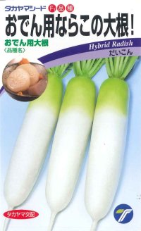 送料無料　[大根]　おでん用大根　4ml　(株)タカヤマシード