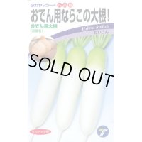 [大根]　おでん用大根　4ml　（株）タカヤマシード