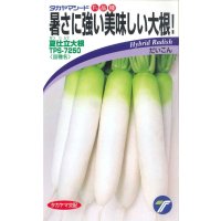 [大根]　夏仕立大根　4ml　（株）タカヤマシード