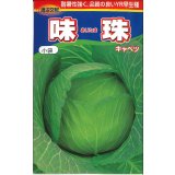 [キャベツ]　味珠　130粒　渡辺交配