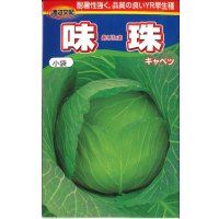 [キャベツ]　味珠　130粒　渡辺交配