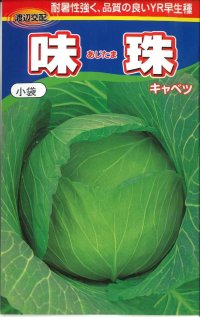 [キャベツ]　味珠　130粒　渡辺交配