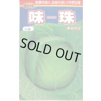 [キャベツ] 味珠 130粒 渡辺農事（株）