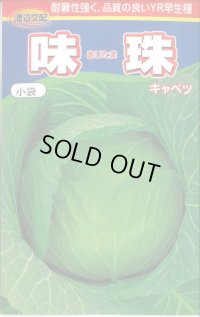 [キャベツ] 味珠 130粒 渡辺農事（株）