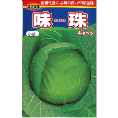 画像1: [キャベツ]　味珠　130粒　渡辺交配