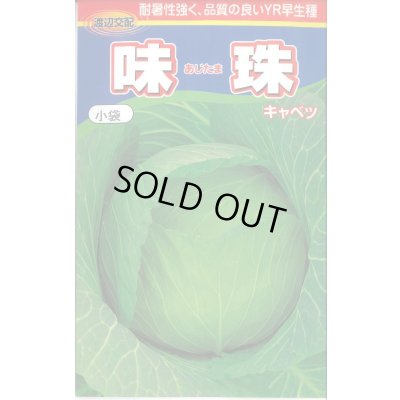 画像1: [キャベツ] 味珠 130粒 渡辺農事（株）