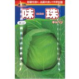 [キャベツ]　味珠　20ｍｌ　渡辺交配