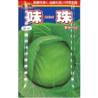 [キャベツ]　味珠　20ｍｌ　渡辺交配