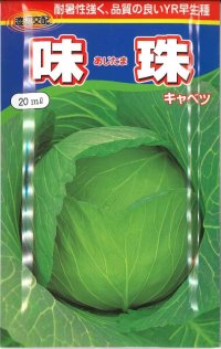 [キャベツ]　味珠　20ｍｌ　渡辺交配