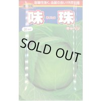 [キャベツ] 味珠 20ｍｌ 渡辺農事（株）