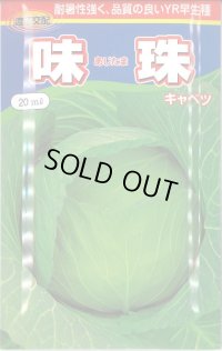 [キャベツ] 味珠 20ｍｌ 渡辺農事（株）