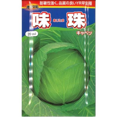 画像1: [キャベツ]　味珠　20ｍｌ　渡辺交配