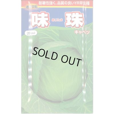 画像1: [キャベツ] 味珠 20ｍｌ 渡辺農事（株）