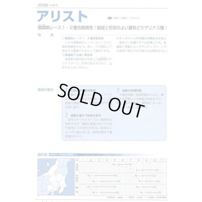 画像3: 送料無料　[レタス]　アリスト　ペレット種子　　5000粒　タキイ種苗(株)