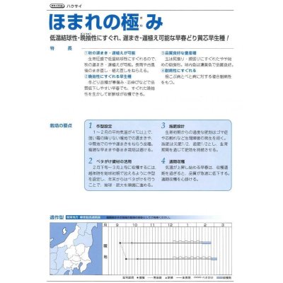 画像4: 送料無料　[白菜]　ほまれの極み　0.8ml　タキイ種苗(株)　DF