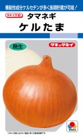 送料無料　[たまねぎ]　ケルたま　4.5ml　(約390粒)タキイ種苗(株)　DF