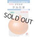 送料無料　[たまねぎ]　ケルたま　4.5ml　(約390粒)タキイ種苗(株)　DF