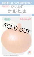 送料無料　[たまねぎ]　ケルたま　4.5ml　(約390粒)タキイ種苗(株)　DF