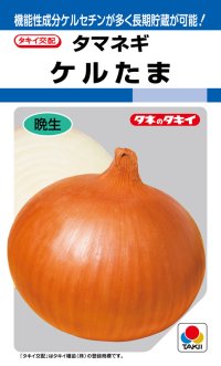 送料無料　[たまねぎ]　ケルたま　4.5ml　(約390粒)タキイ種苗(株)　DF