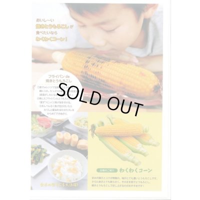 画像5: [とうもろこし]　わくわくコーン82　2000粒　カネコ種苗（株）