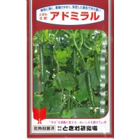 送料無料　[キュウリ]　アドミラル　350粒　(株)ときわ研究場