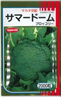 送料無料　[ブロッコリー]　サマードーム　2000粒　(株)サカタのタネ