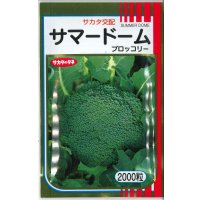 送料無料　[ブロッコリー]　サマードーム　2000粒　(株)サカタのタネ