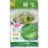 [キャベツ]　柳生甘藍　1ml　（株）大和農園