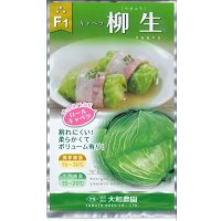 [キャベツ]　柳生甘藍　1ml　（株）大和農園
