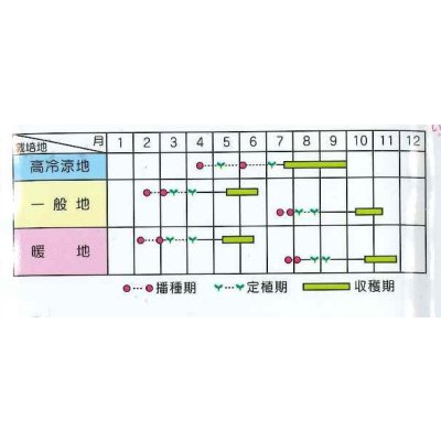 画像5: 送料無料 [ブロッコリー] サマードーム 2000粒 (株)サカタのタネ