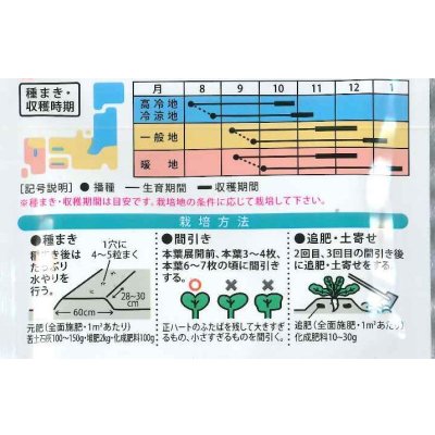 画像3: 送料無料　[大根]　あじまるみ8ml　（株）大和農園