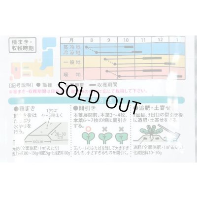 画像3: 送料無料　[大根]　あじまるみ8ml　大和農園
